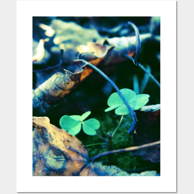 Dead Leaves and Clovers Wall Art by saradaboru